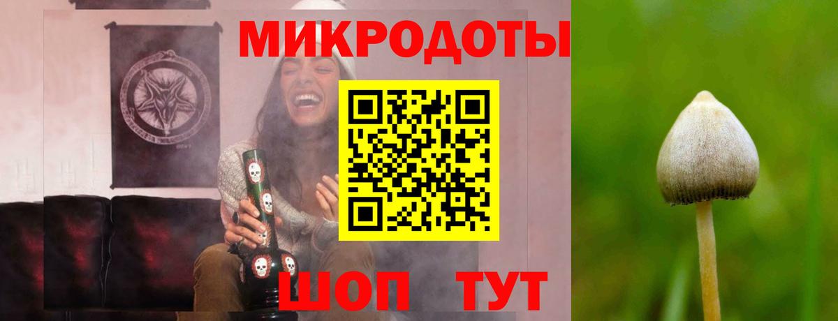 Псилоцибиновые грибы Psilocybine cubensis Верхняя Пышма